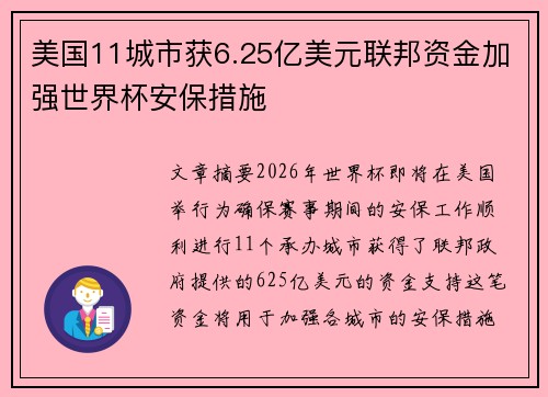 美国11城市获6.25亿美元联邦资金加强世界杯安保措施