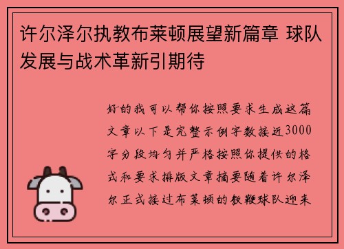 许尔泽尔执教布莱顿展望新篇章 球队发展与战术革新引期待