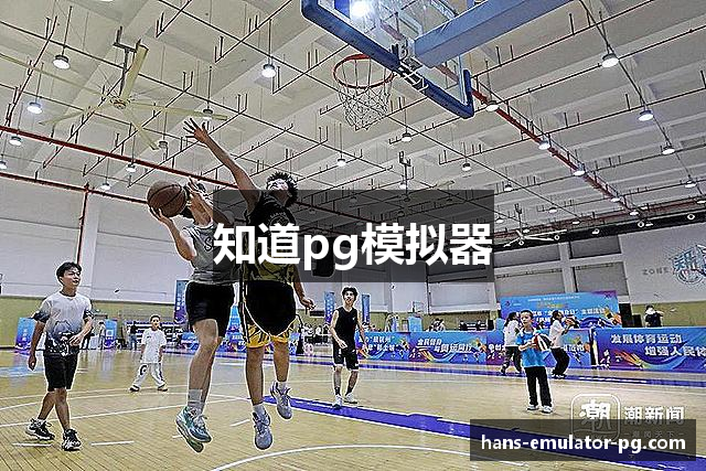 知道pg模拟器